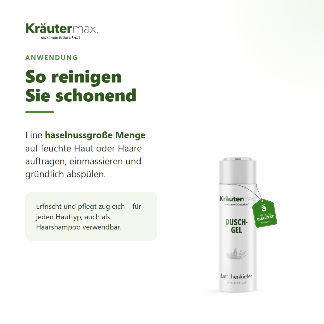 Latschenkiefer Duschgel – Anwendung: haselnussgroße Menge auf feuchte Haut oder Haare, einmassieren, abspülen