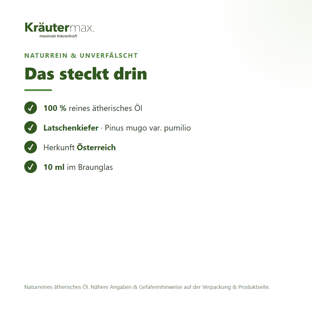 Latschenkiefer Öl – naturreines ätherisches Öl, Herkunft und Gewinnung