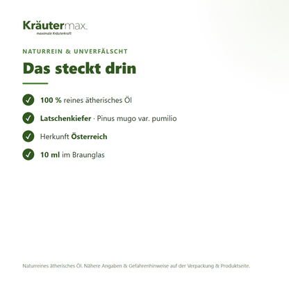 Latschenkiefer Öl – naturreines ätherisches Öl, Herkunft und Gewinnung