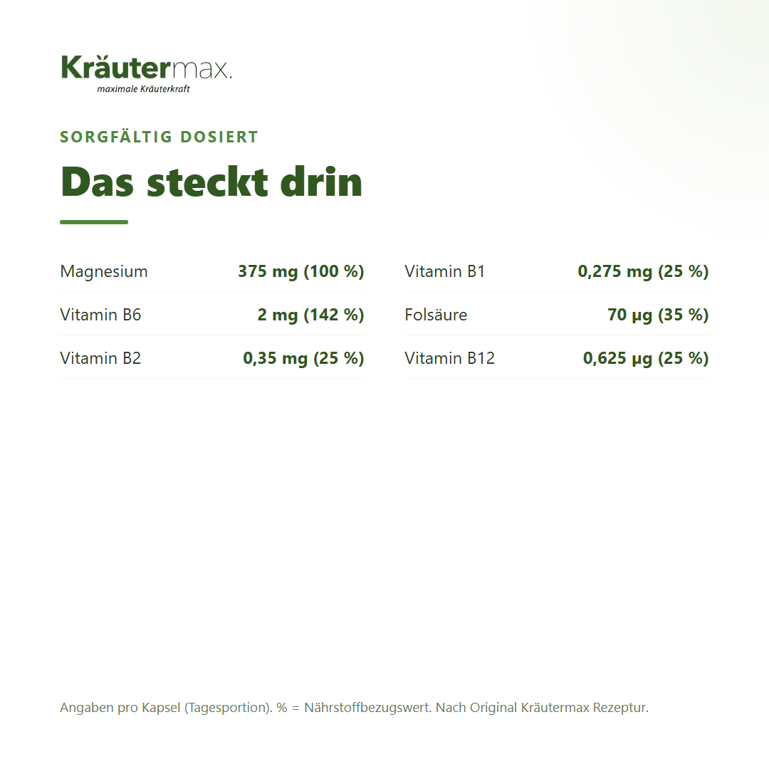 Magnesium mit Vitamin B Komplex – 375 mg Magnesium, Vitamin B1, B2, B6, B12 und Folsäure pro Kapsel mit NRV