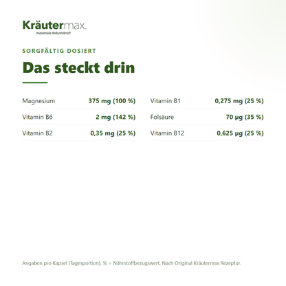 Magnesium mit Vitamin B Komplex – 375 mg Magnesium, Vitamin B1, B2, B6, B12 und Folsäure pro Kapsel mit NRV