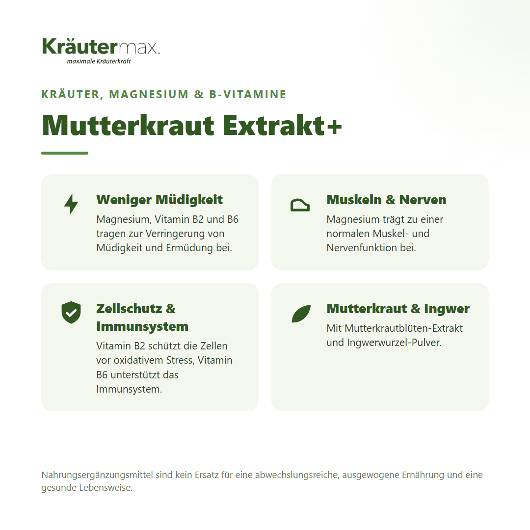 Mutterkraut Extrakt+ Kapseln von Kräutermax – mit Magnesium, Vitamin B2 und B6 für weniger Müdigkeit, Muskeln und Nerven, vegan