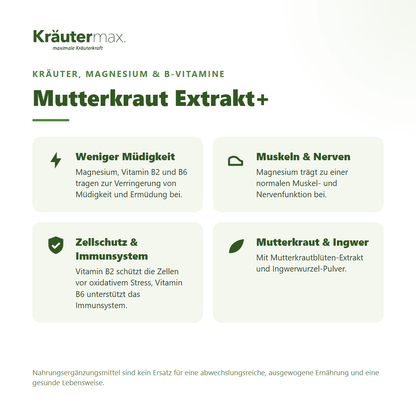 Mutterkraut Extrakt+ Kapseln von Kräutermax – mit Magnesium, Vitamin B2 und B6 für weniger Müdigkeit, Muskeln und Nerven, vegan