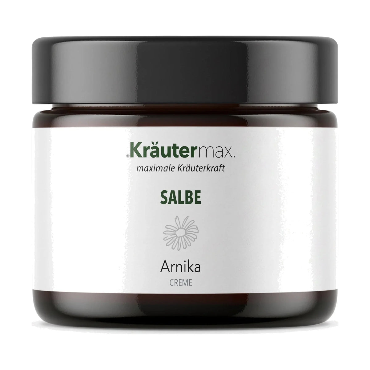 Arnika Salbe 100 ml