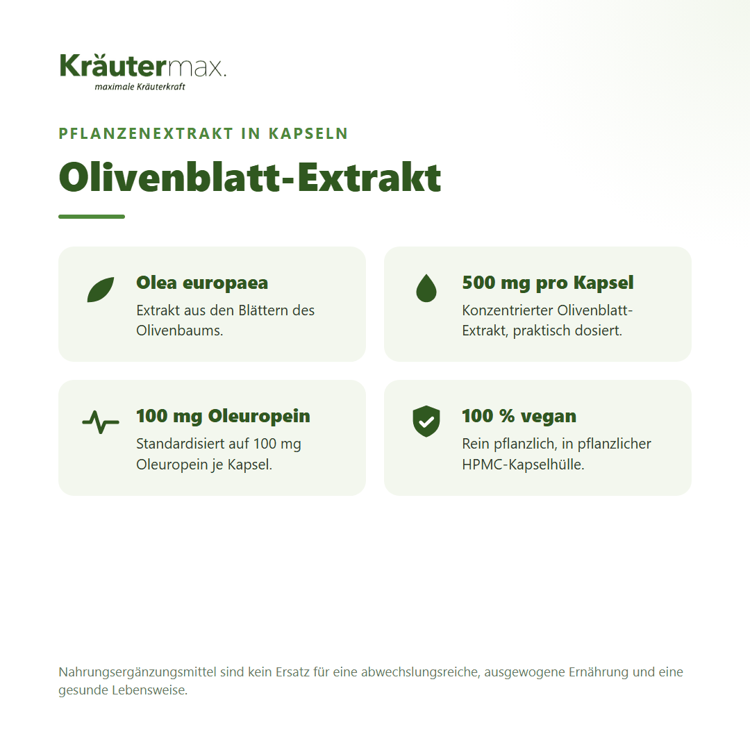 Olivenblatt Extrakt Kapseln von Kräutermax – 500 mg Olivenblatt-Extrakt mit 100 mg Oleuropein, vegan