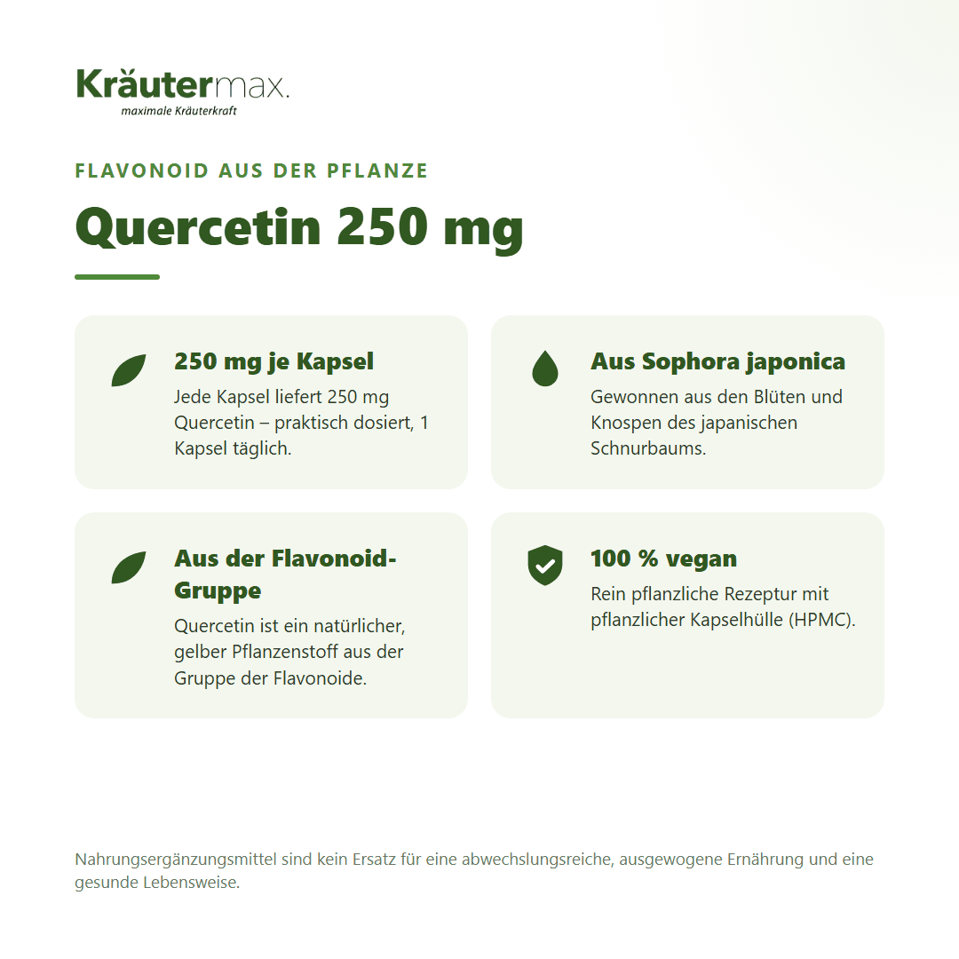 Quercetin Kapseln 250 mg – 250 mg Quercetin je Kapsel aus Sophora japonica, ein Flavonoid, 100 % vegan