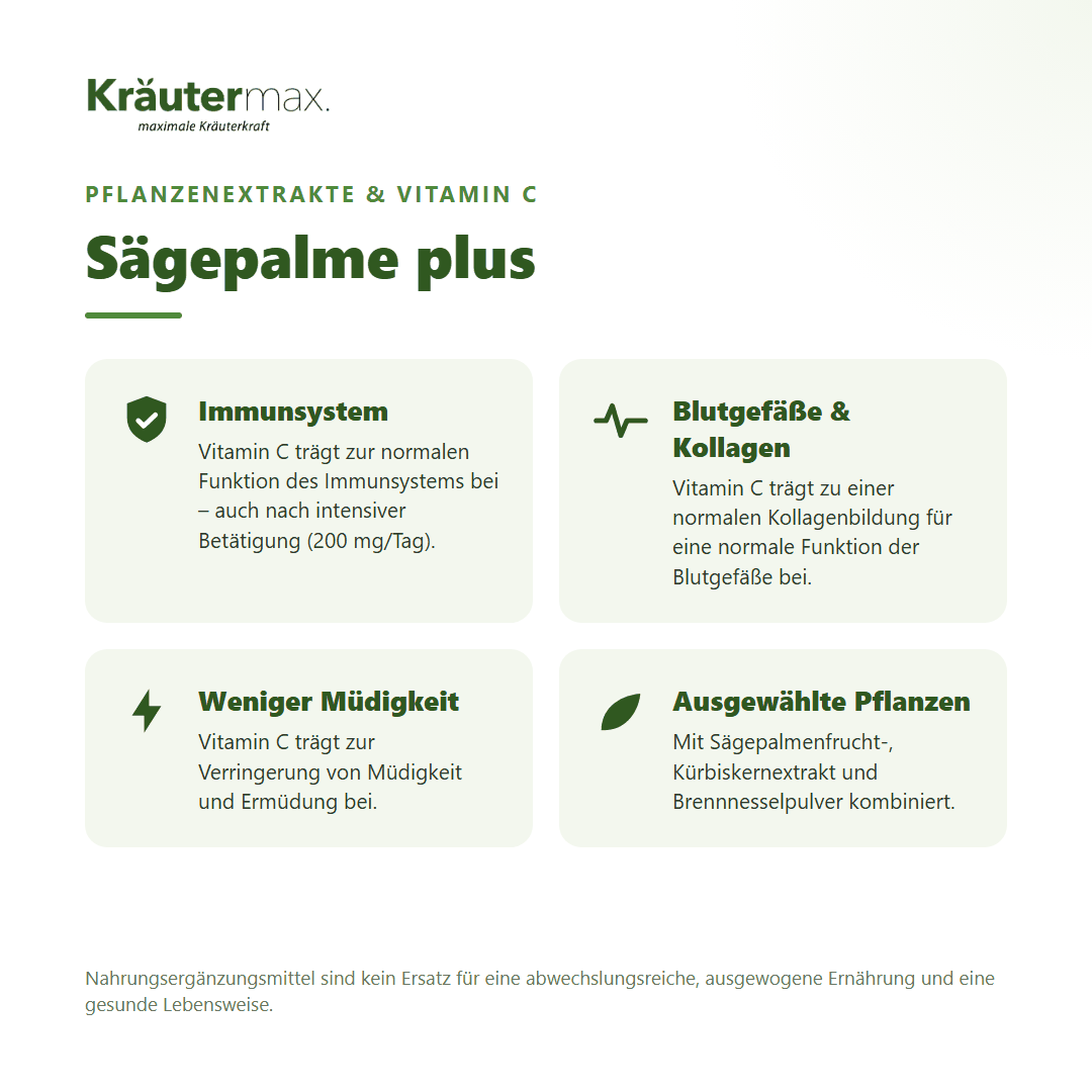 Sägepalme plus Kapseln – Nutzen: Vitamin C für Immunsystem, Blutgefäße und weniger Müdigkeit, mit Sägepalmenfrucht-, Kürbiskernextrakt und Brennnesselpulver
