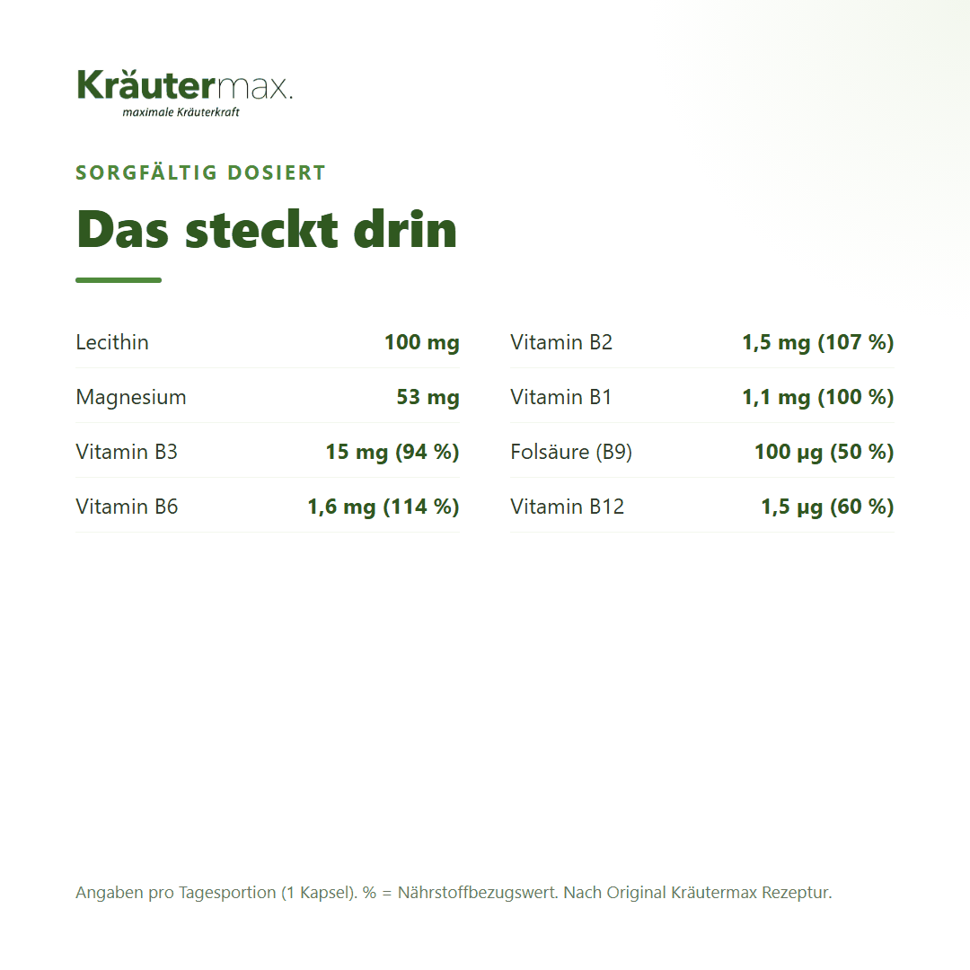 Vitamin B plus Kapseln – Inhaltsstoffe pro Kapsel: Lecithin, Magnesium, Vitamin B3, B6, B2, B1, Folsäure und B12