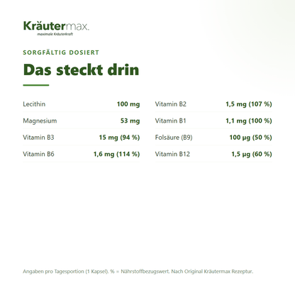 Vitamin B plus Kapseln – Inhaltsstoffe pro Kapsel: Lecithin, Magnesium, Vitamin B3, B6, B2, B1, Folsäure und B12